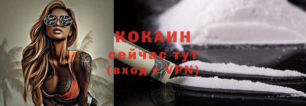 индика Семёнов