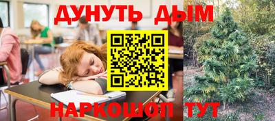 гидра Берёзовский
