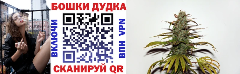 Бошки Шишки гибрид  наркотики  Волхов 